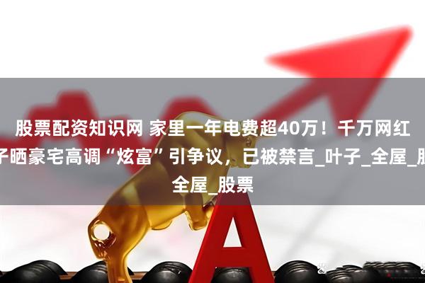 股票配资知识网 家里一年电费超40万！千万网红妻子晒豪宅高调“炫富”引争议，已被禁言_叶子_全屋_股票