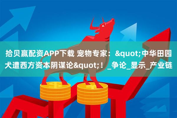拾贝赢配资APP下载 宠物专家："中华田园犬遭西方资本阴谋论"！_争论_显示_产业链