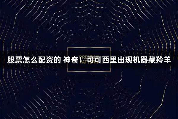 股票怎么配资的 神奇！可可西里出现机器藏羚羊