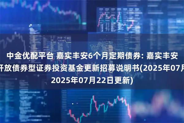 中金优配平台 嘉实丰安6个月定期债券: 嘉实丰安6个月定期开放债券型证券投资基金更新招募说明书(2025年07月22日更新)