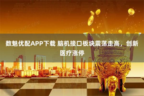 数魅优配APP下载 脑机接口板块震荡走高，创新医疗涨停